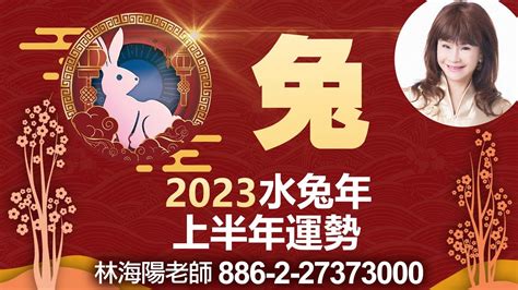 2023水兔年